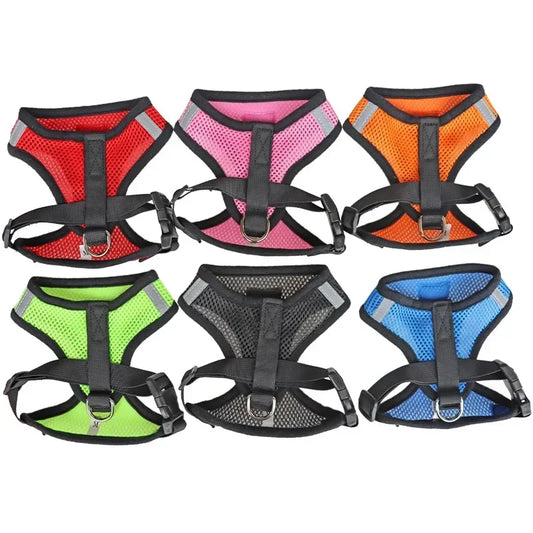 Cat or small dog harness